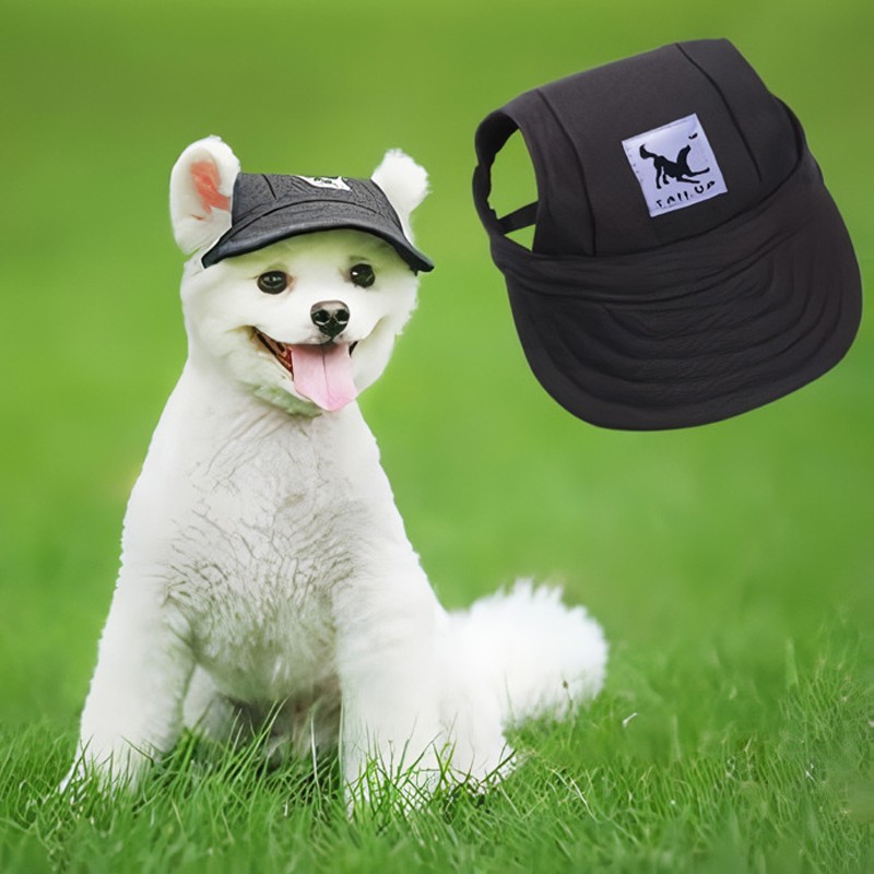 Liquidación de gorras para mascotas 3